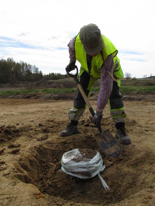 Lina Håkansdotter palea cuidadosamente en la tierra para desenterrar una antigua olla descubierta cerca de los 82 fosos de Sunnsvära, Suecia. El plástico impide que la olla se deshaga o rompa a lo largo del proceso. (Jessica Andersson/CC)