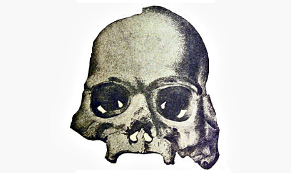 Portada - El Cráneo de Calaveras, del estudio preliminar de William Henry Holmes. (Dominio público)