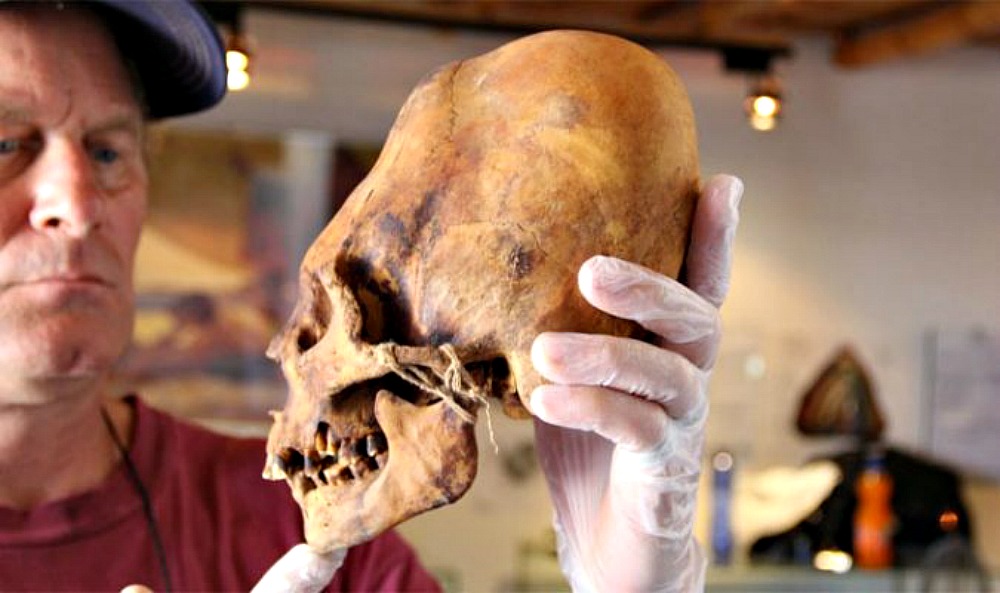 Portada - Uno de los cráneos deformados de Ica (Fotografía: Martin J. Clemens/La Gran Época)