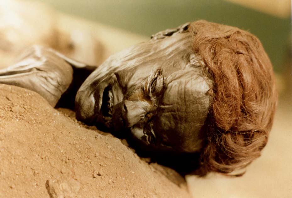 Portada - Rostro del Hombre de Grauballe, un cadáver de la Edad de Hierro en excelente estado de conservación gracias a la turba presente en el pantano al que fue arrojado tras su muerte. (Public Domain)