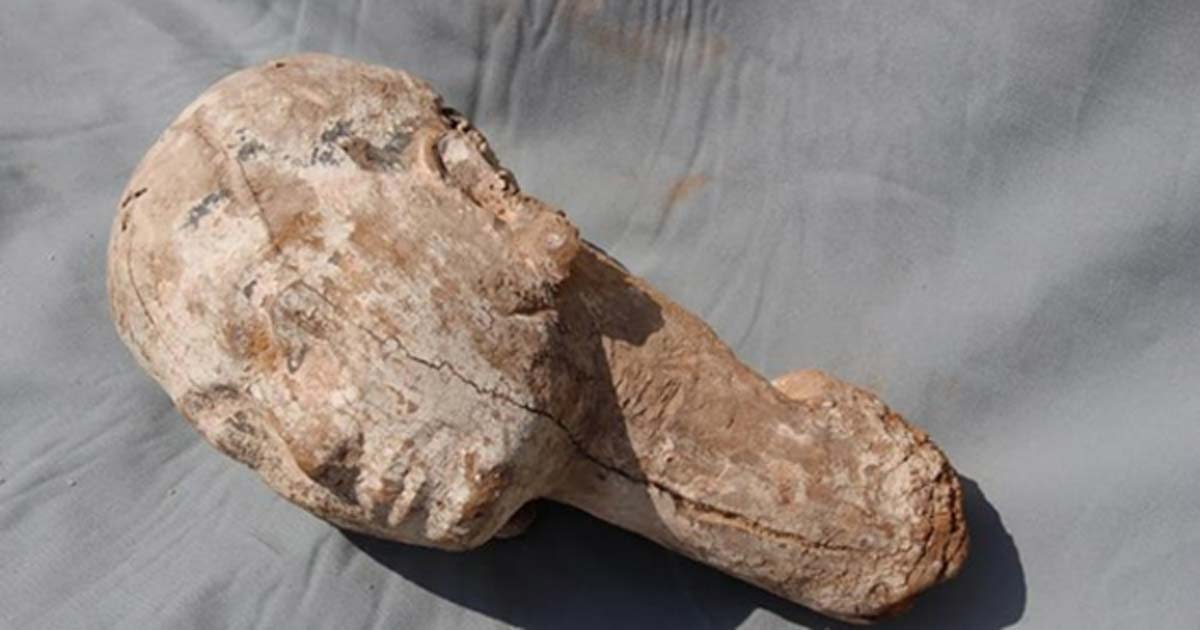 Portada - Cabeza de madera de hace 4.000 años descubierta recientemente en Egipto. Se cree que representaría a la reina Anjenespepi II de la Dinastía VI. (Ministerio de Antigüedades de Egipto)