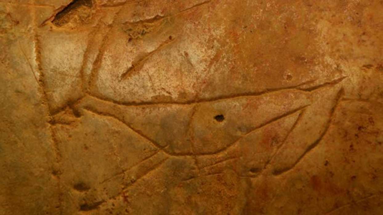 Portada - Talla de un ciervo extinto en la cueva cretense de Asphendou. Fuente: Sarah Murray