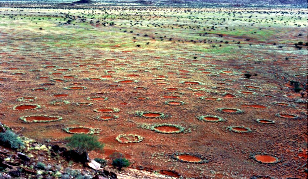 Portada - Vista panorámica de los llamados círculos de hadas del desierto de Namibia. (Stephan Getzin/GNU Free)