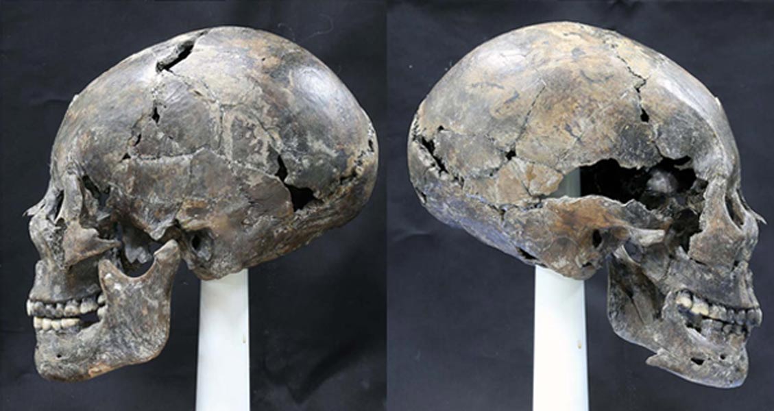 Portada - Cráneo elongado de una mujer de la cultura Silla hallado en Corea y reconstruido a partir de numerosos fragmentos.