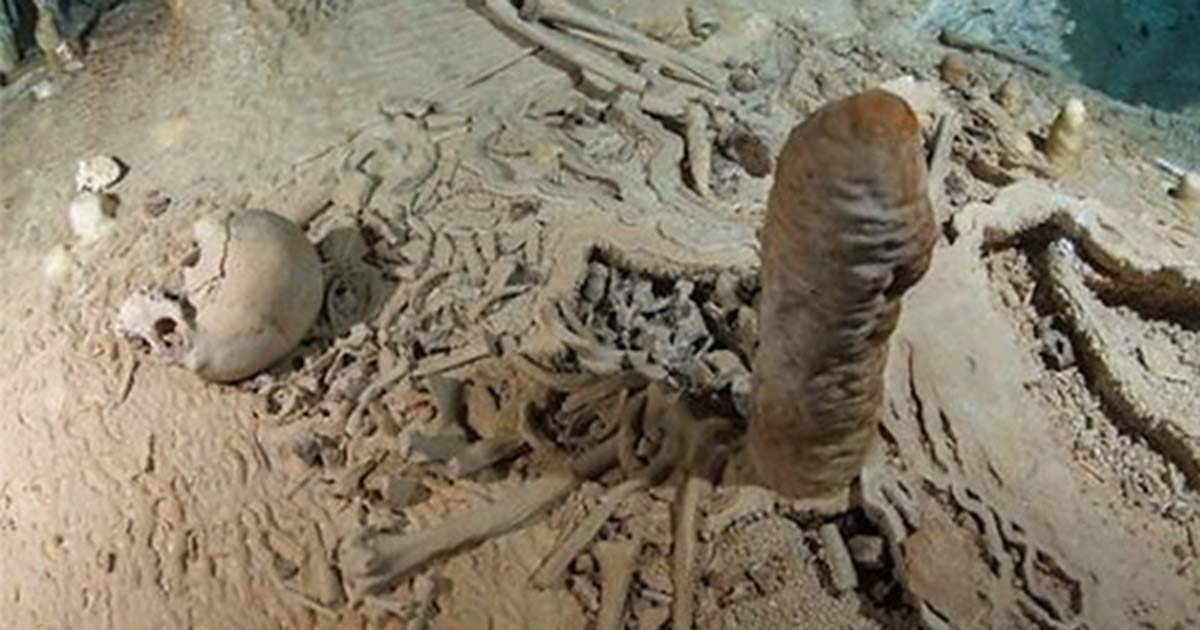 Portada - Esqueleto humano prehistórico de la cueva de Chan Hol cercana a Tulum, en la península mexicana de Yucatán. Esta fotografía se tomó con anterioridad al saqueo de la cueva perpetrado por submarinistas desconocidos. Fotografía: Tom Poole/Liquid Jungle Lab