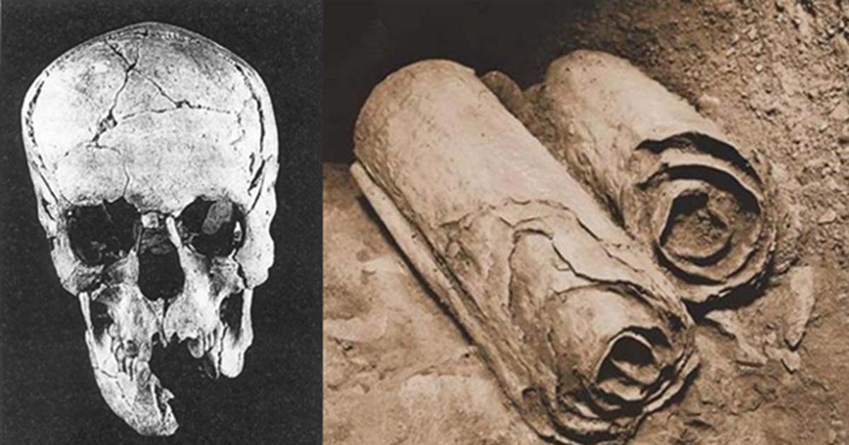 Portada - Cráneo descubierto en Qumrán. (Archaeology-of-Qumran/CC BY SA 3.0) Dos de los manuscritos de los Rollos del mar Muerto yacen en su ubicación en las cuevas de Qumrán antes de ser retirados por los arqueólogos para su examen académico. (Dominio público)