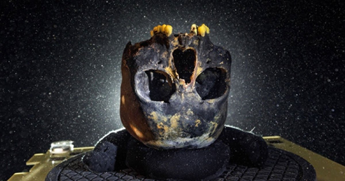 Portada - Cráneo de la joven hallado junto con la mayor parte de su esqueleto en el fondo de una profunda cueva, ahora submarina, de la península de Yucatán en México. (Paul Nicklen/NGC)