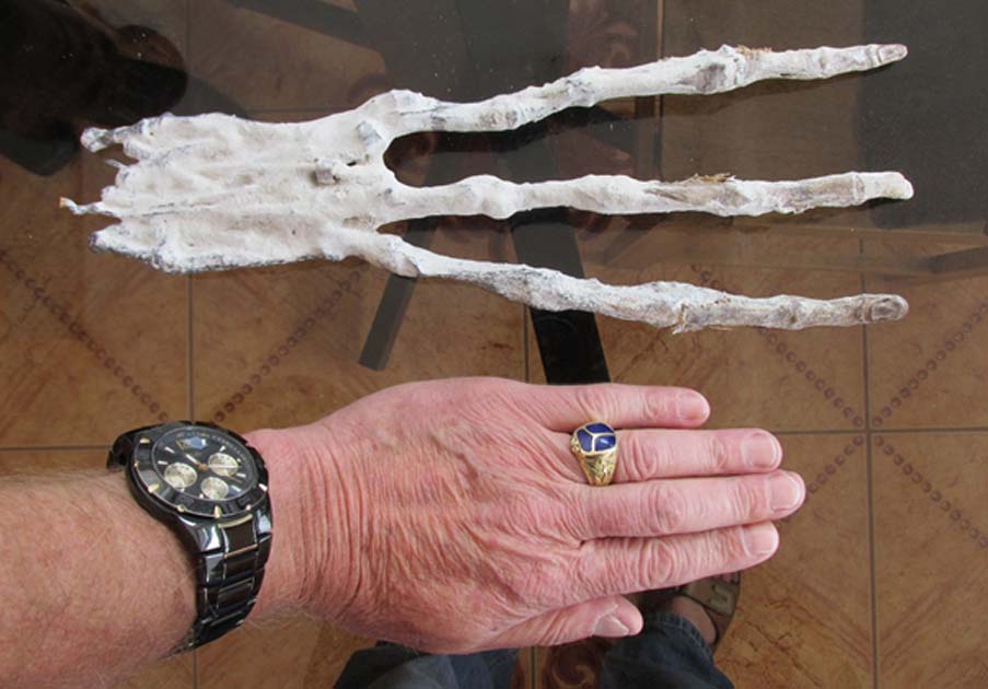 Portada - La mano momificada con tres dedos descubierta hace aproximadamente un año en un túnel del desierto peruano. (Fotografía: Brien Foerster / Hidden Inca Tours)
