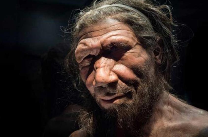 Portada - ReproducciÃ³n de hombre de Neandertal expuesta en el Museo de Historia Natural de Londres. Fuente: CC BY NC ND 2.0