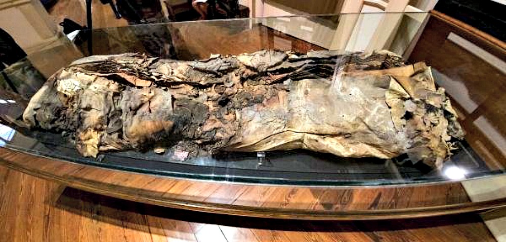 Portada - La llamada momia número 8, erróneamente identificada como Artemi Semidán y expuesta en el Museo Canario de Las Palmas de Gran Canaria. (Fotografía: EFE/Ángel Medina G.)