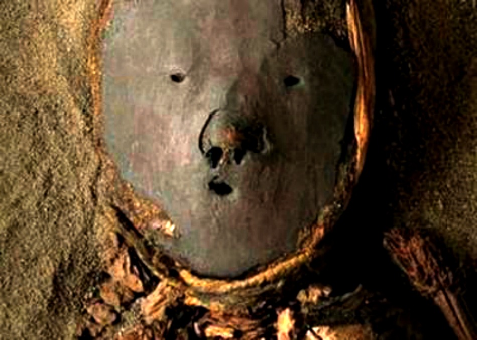 Portada - Máscara de barro de una momia Chinchorro. (Fotografía: El Morrocotudo)