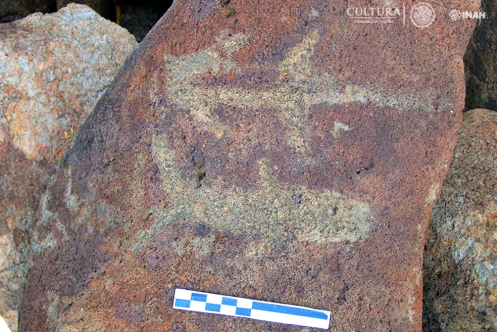 Portada - Uno de los petroglifos descubiertos recientemente en el estado mexicano de Baja California Sur con representaciones de peces. (Fotografía: Carlos Mandujano/INAH)