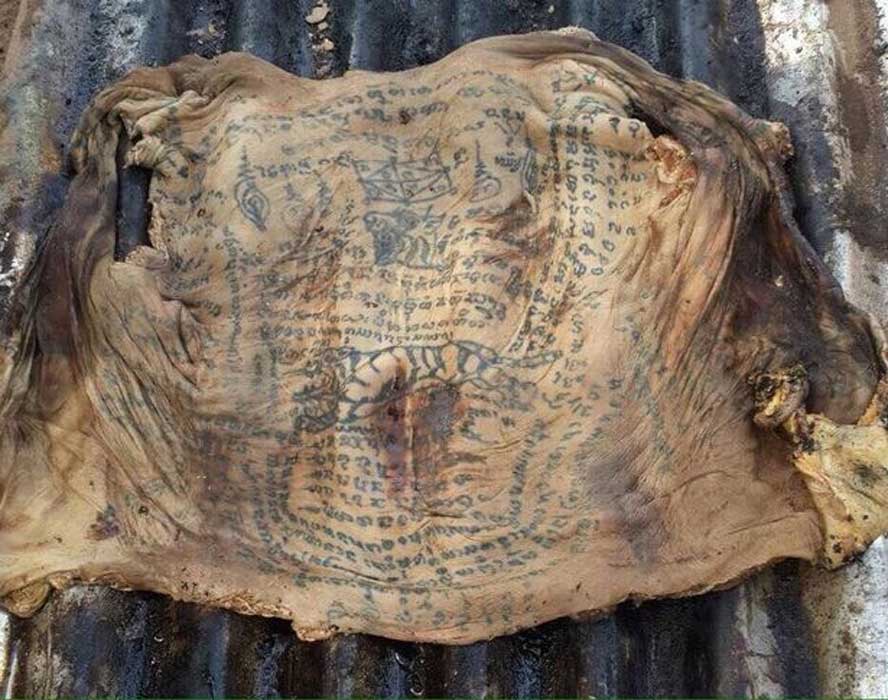 La piel hallada en Tailandia cubierta de tatuajes y sorprendentemente intacta. (Exclusivepix Media)