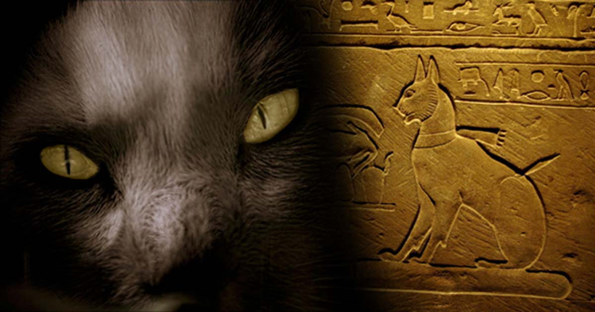 Portada - Derecha, sarcófago del gato del príncipe Tutmosis. El nombre de este gato era Ta-miu. (CC BY 2.0), Izquierda: ‘¡Cuidado con el gato!’ (Flickr/CC BY 2.0).