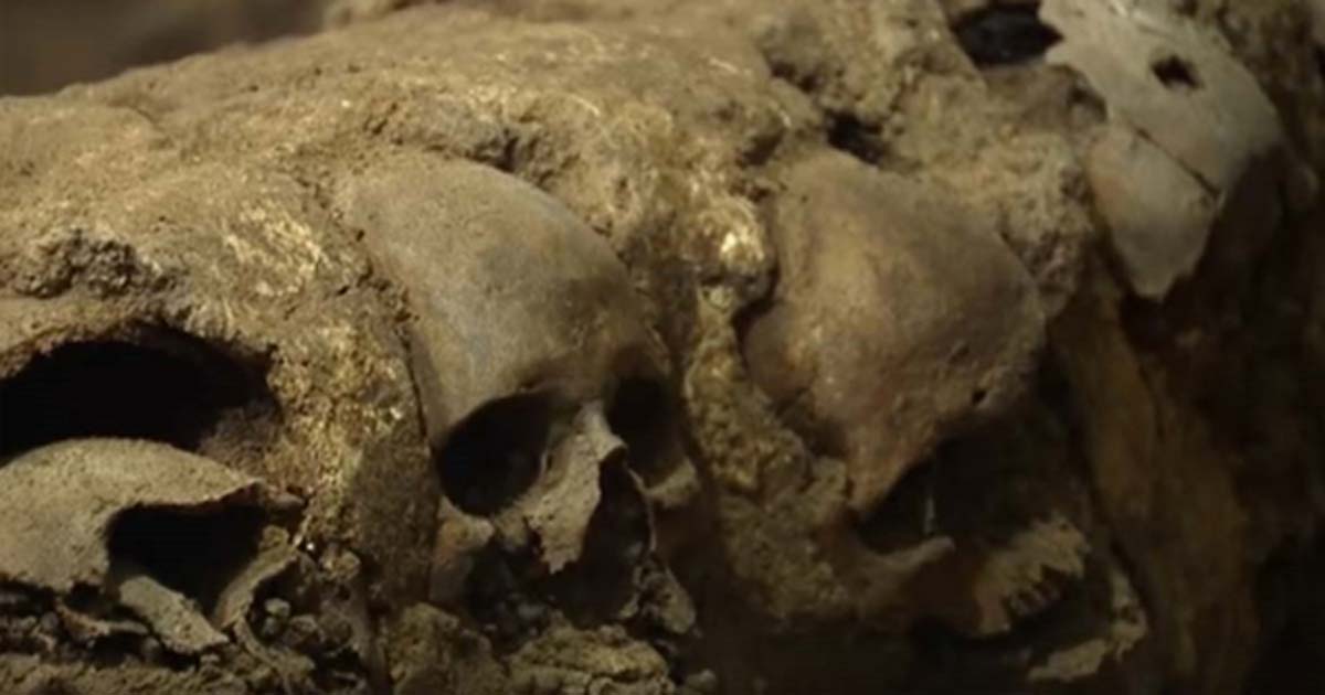 Portada - Cráneos de la monumental torre de calaveras hallada recientemente cerca del Templo Mayor, Ciudad de México (Imagen: Youtube)