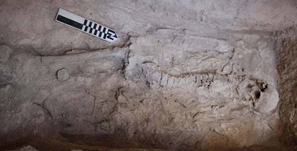 Portada - Restos humanos hallados en una de las tumbas (Ministerio de Cultura griego)