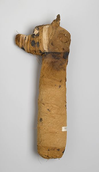 Perro momificado, 305 a. C.-395 d. C. Restos animales, lino, pintado. Museo de Brooklyn