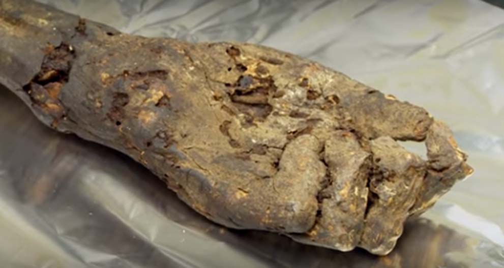 Mano momificada (circa 1000 a. C.) utilizada para obtener antiguo ADN egipcio (Youtube)