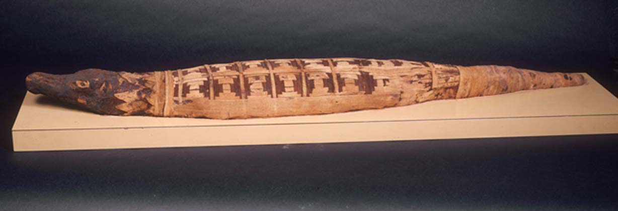 Momia de un cocodrilo. (National Museums Liverpool)