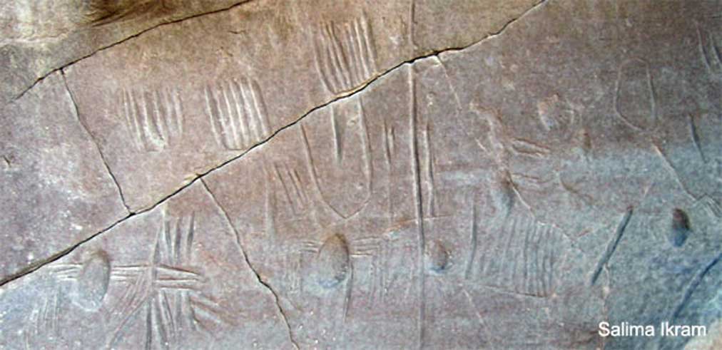 Panel de roca del oasis de Kharga, Egipto, que se cree contiene el único ejemplo conocido de araña en el arte rupestre de Egipto. Fotografía: Salima Ikram