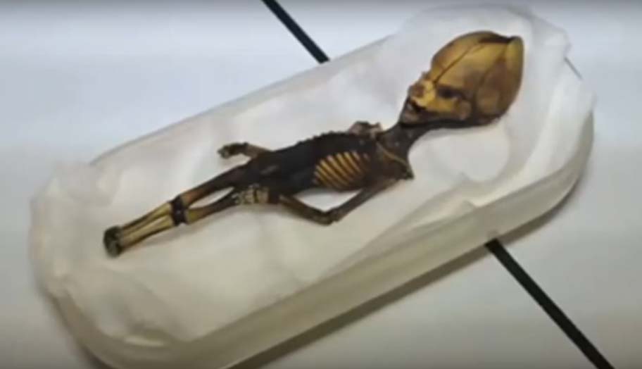 Todos los estudios demuestran que el esqueleto pertenece a un niÃ±o producto de un aborto espontÃ¡neo. (Youtube)