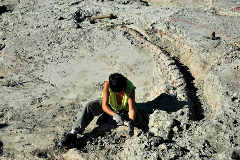 Los científicos escépticos opinan que, siguiendo una lógica diluviana, los restos animales de especies anteriores a la gran inundación (incluyendo los extintos dinosaurios) deberían hallarse en un solo estrato, sin distinción alguna. En la imagen, excavaciones de la cola de un dinosaurio en el yacimiento de Lo Hueco, Cuenca, España. (Fotografía: UNED/FLYCKR)