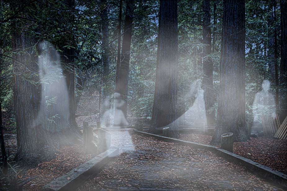 Fantasmas en el bosque. (Flickr/CC BY 2.0)