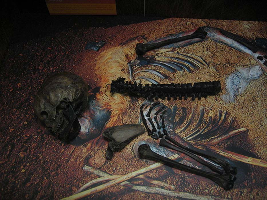 Huesos de Windeby I temporalmente expuestos en el Archäologisches Landesmuseum de Schleswig. (CC BY-SA 3.0)