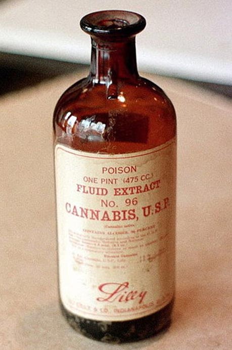 El cannabis utilizado como medicina (Wikimedia Commons)