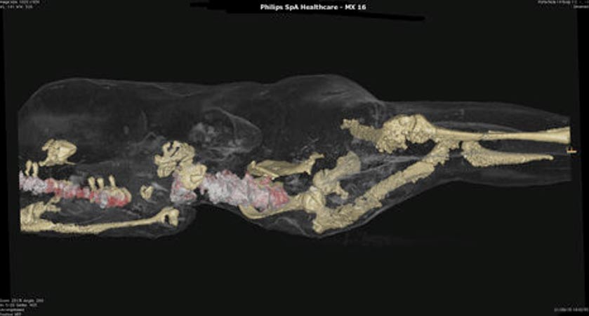 Imagen digital de una de las víctimas de Pompeya. Autoría: Yacimiento Arqueológico de Pompeya