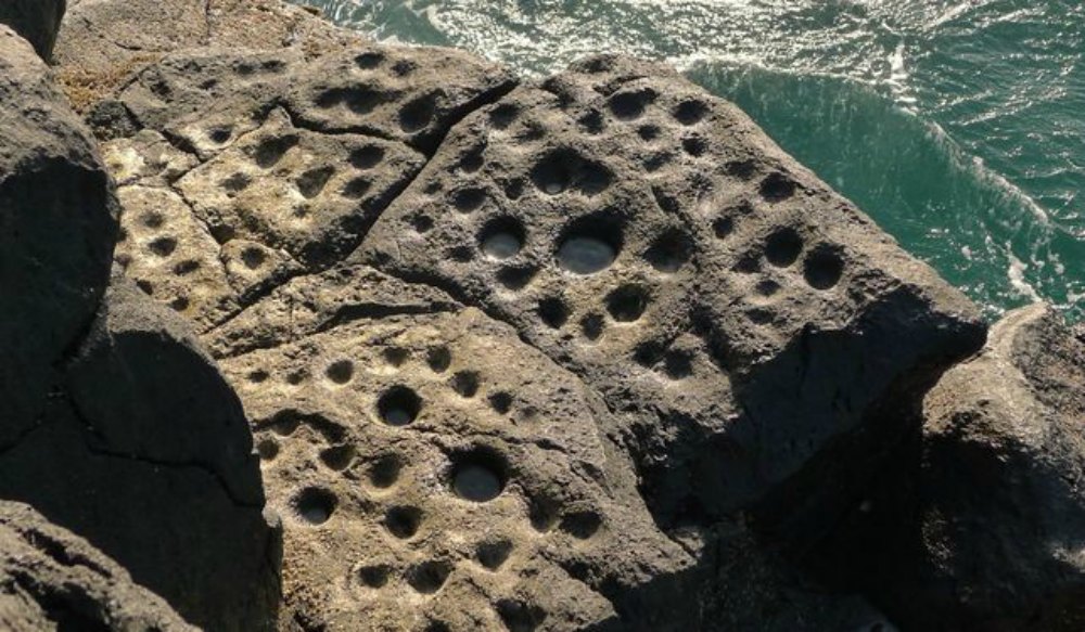 Portada-Conjunto de cazoletas en las rocas del litoral de Los Guinchos (Breña Alta), en la isla canaria de La Palma.(Fotografía: eldiario.es)