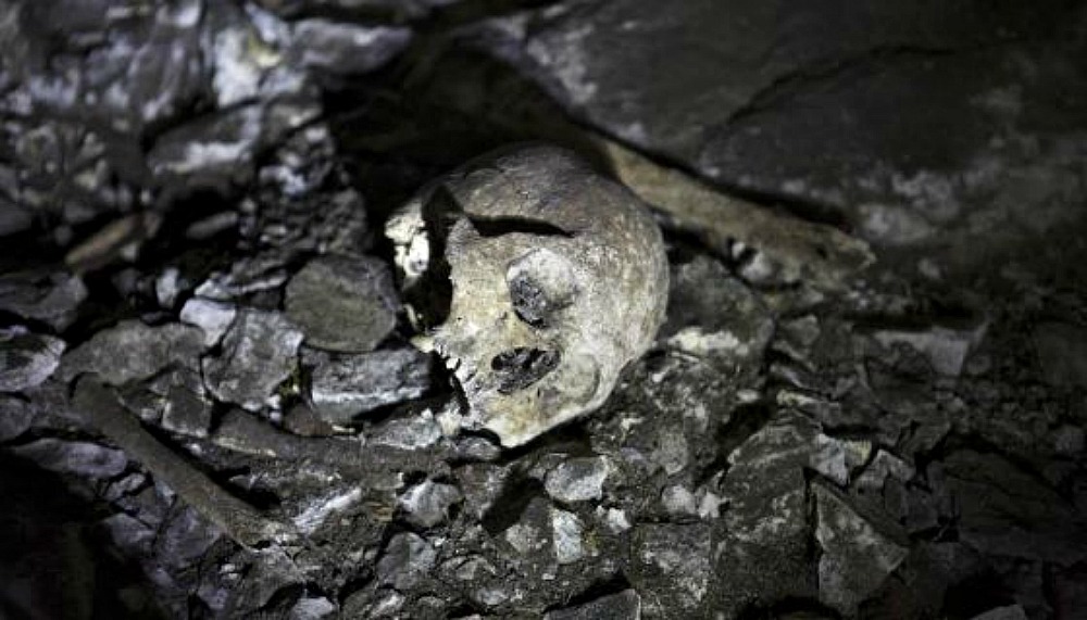 Portada-Algunos de los restos óseos descubiertos en el yacimiento. (Fotografía: Rafa Gutiérrez/El País)