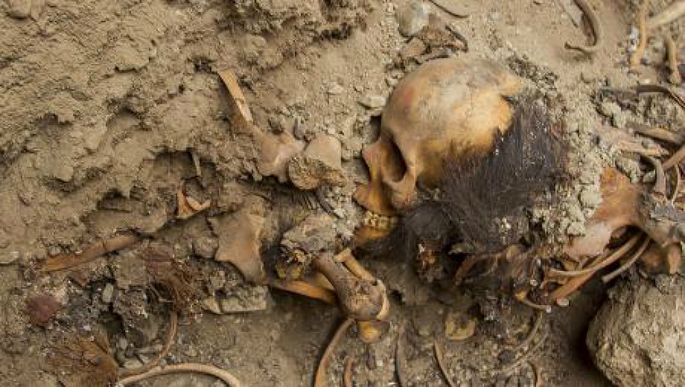 Portada-Fotografía de los restos óseos de uno de los fardos funerarios recuperados en Chan Chan, Perú. (Ministerio de Cultura de Perú)