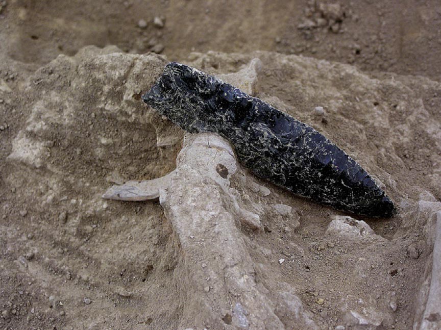 Portada-Punta de obsidiana incrustada en restos prehistóricos humanos procedentes de un enterramiento del centro de California. (Foto: Randy Wiberg)