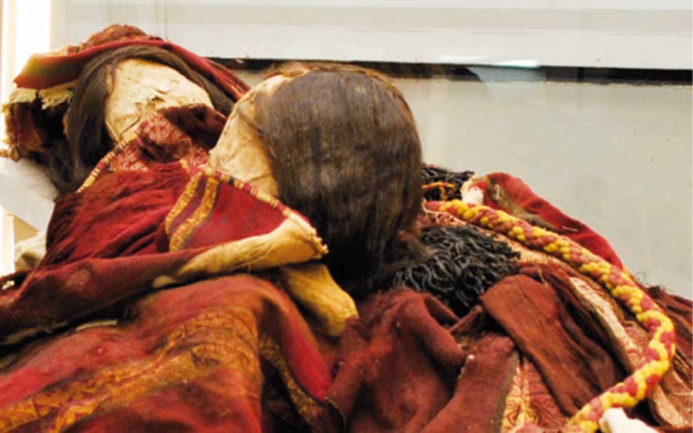 Portada - Estas dos momias incas fueron halladas con una sustancia tÃ³xica en su tumba. Fuente: Museo Regional de Iquique