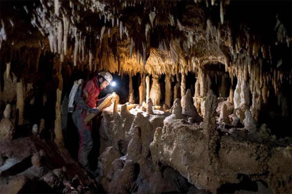 Los investigadores han probado una enorme estalagmita en la cueva de Pozzo Cucù en Italia para llevar a cabo una reconstrucción paleoclimática de la última edad de hielo. Sus conclusiones han ayudado a responder preguntas relacionadas con la desaparición de los neandertales. Fuente: O. Lacarbonara / Universidad de Bolonia