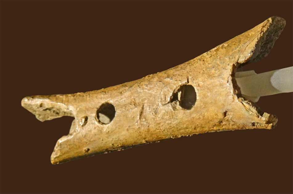 Кости музыкальный инструмент. Костяная флейта неандертальцев. Палеолит музыкальные инструменты из костей мамонта. Свирель это древний музыкальный инструмент. Первобытные музыкальные инструменты.