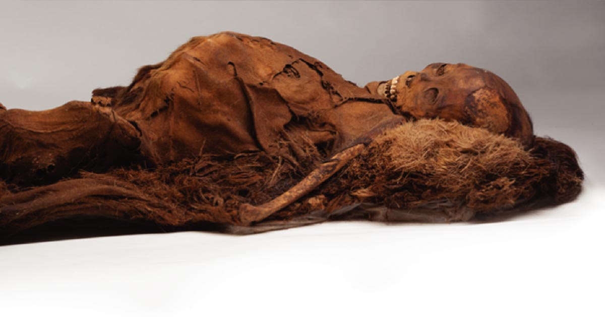 Momia inuit adulta que fue escaneada con tomografía computarizada. Fuente: Cortesía del Museo de Arqueología y Etnología de Peabody, Universidad de Harvard, PM 29-10-10 / 61570.0.