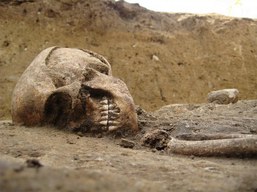 Se realizará un análisis de ADN de los restos de la mujer que vivió durante el período neolítico. Fuente: Twitter/ Robert Ide