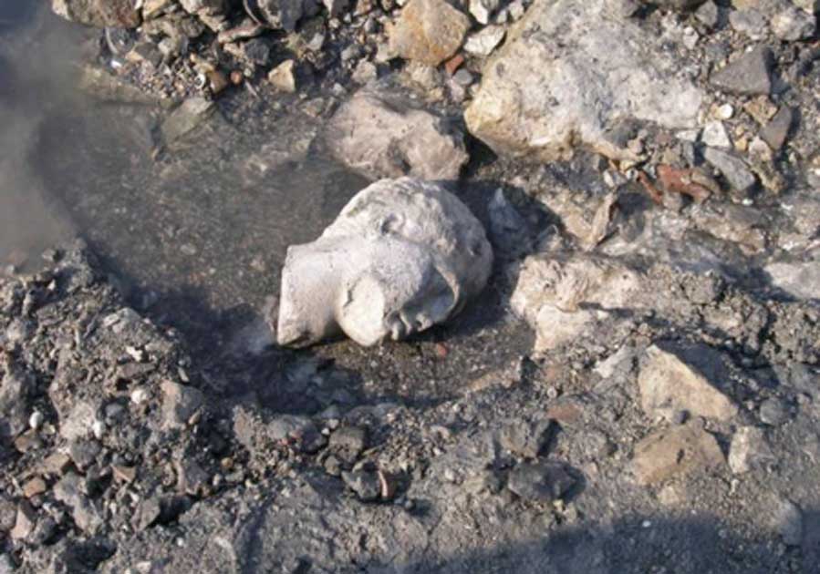 Descubierta en las ruinas de Salamis, una cabeza de mÃ¡rmol de una antigua estatua griega. Fuente: Maraba / Ministerio de Cultura de Grecia.