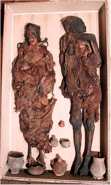 El “hombre Delémont” (derecha) y la “mujer Delémont” (izquierda): descripción general de las dos momias en su caja de depósito. (Begerock et al. 2022/ Frontiers in Medicine)