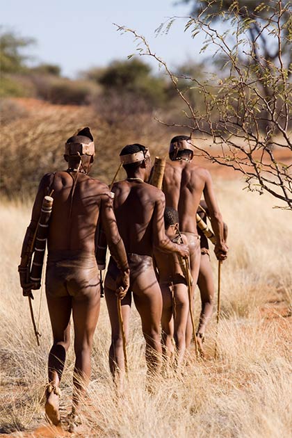 ¡Los Kung San del desierto de Kalahari o los bosquimanos de Kalahari trabajaron muy poco y jugaron mucho! (franco lucato / Adobe Stock)