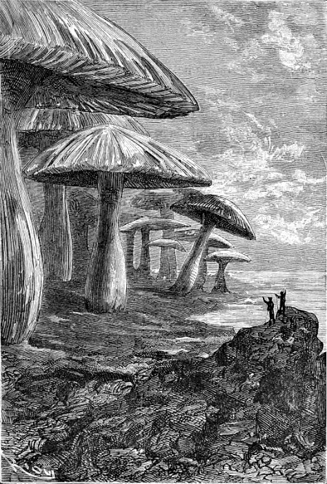 Ilustración dibujada por Édouard Riou en 1864, de la edición original de “Viaje al centro de La Tierra”, obra del célebre Julio Verne. (Wikimedia Commons)