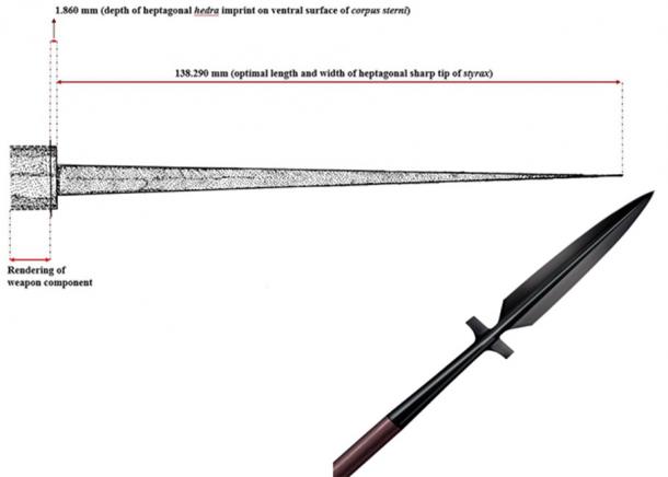 En la izquierda - Dibujo de la estirita de siete puntas que mató al hombre antiguo. A la derecha - cerca de la lanza styrax. (Anagnostis Agelarakis / CC BY-SA 4.0)