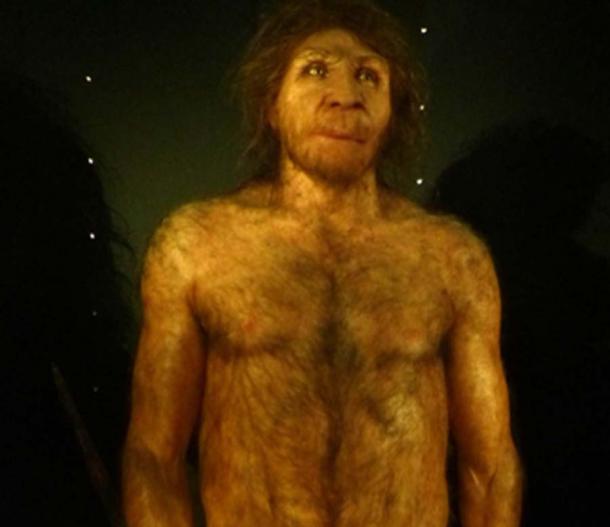 Edad de piedra H. heidelbergensis reconstrucción masculina adulta. (Dbachmann / CC BY-SA 4.0)