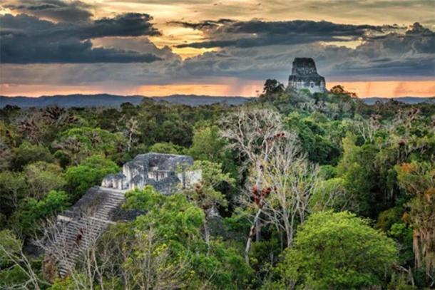 Ruinas mayas de Tikal en Guatemala. (Ingo Bartussek / Adobe Stock)