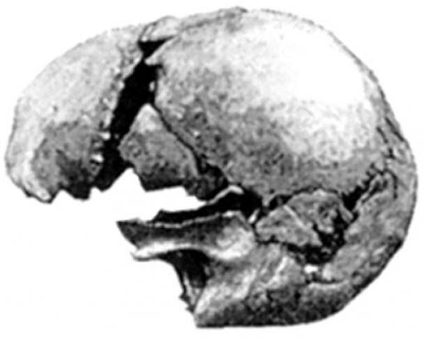 Cráneo humano moderno encontrado en Castenedolo, Italia. (Autor proporcionado)