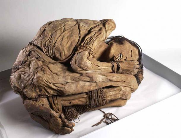 Un varón momificado peruano conservado naturalmente, alrededor de 1200-1400 d. C., posiblemente de la costa norte de Perú, donde la cultura Chimú enterraba a sus muertos en "bultos de momia", acurrucados en posición fetal con las manos y los pies atados. (Wellcome Collection/ CC BY 4.0)