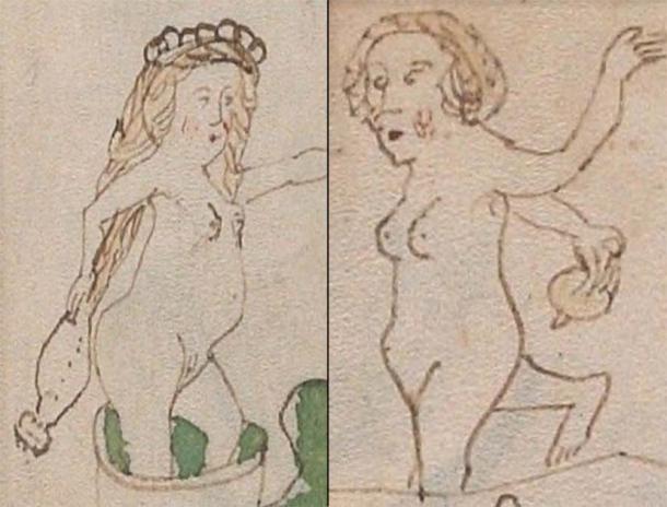 Se muestra a las mujeres ilustradas en el manuscrito sosteniendo objetos no identificados hacia sus genitales. (Biblioteca de la Universidad de Yale/The Conversation)