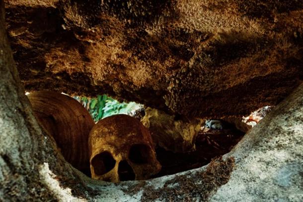 Se encontraron huesos de restos humanos junto con las copas de crÃ¡neo en el sitio. (simanlaci/ adobe)